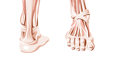 Ankle and Foot Pain