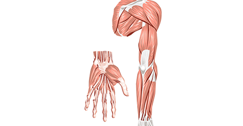 Arm and Wrist Pain
