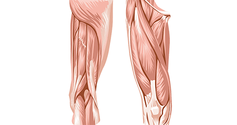 Upper Leg and Hip Pain