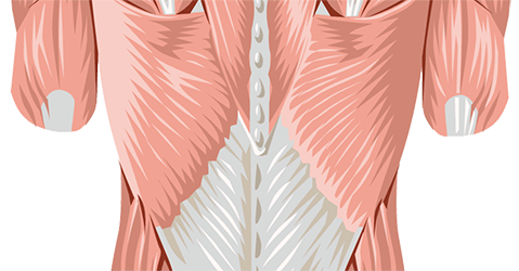 Middle Back Pain